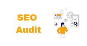 seo audit guide