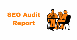 discover seo audit report