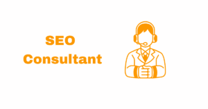 SEO Consultant guide