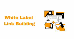 learn about white label link building