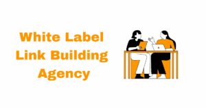 top White Label Link Building Agency