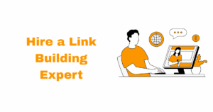 hire link building expert