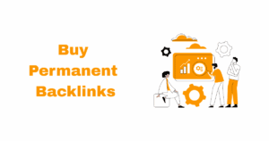 Buy Permanent Backlinks
