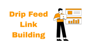 Drip Feed Link Building
