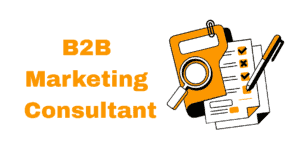 B2B Marketing Consultant